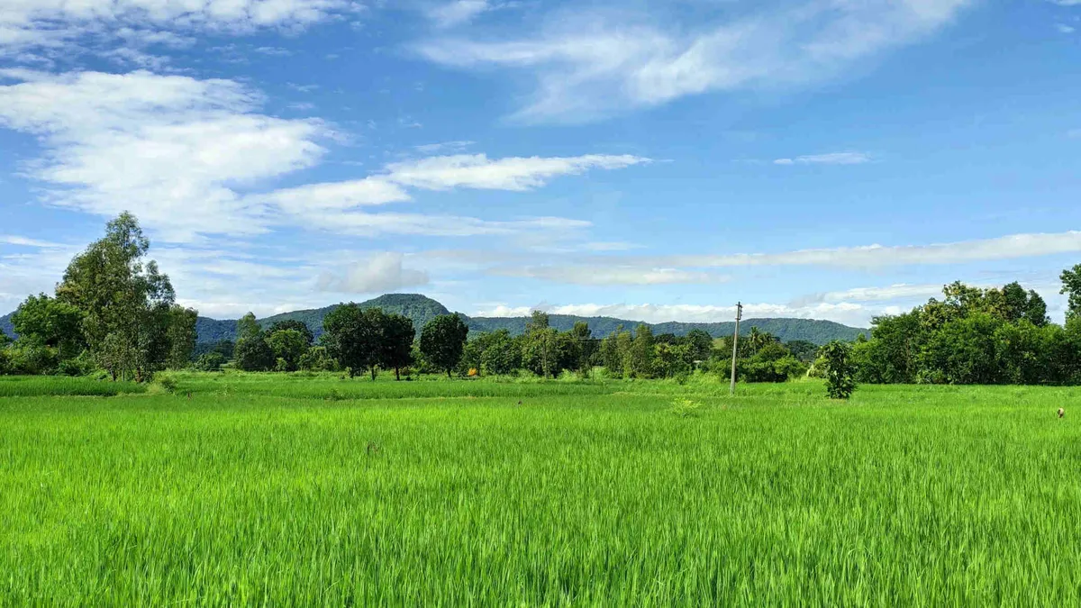 Using Agricultural Land for Non-Agricultural Purposes